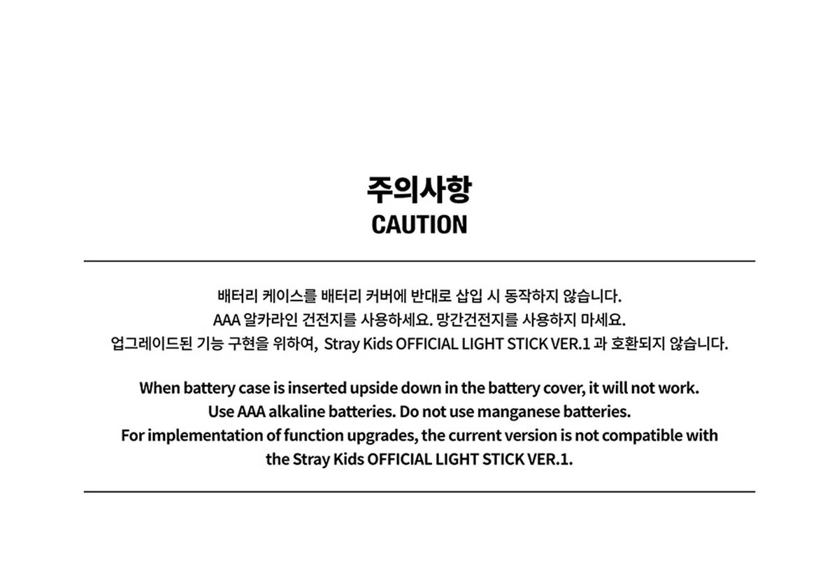Stray-Kids Offizieller LightStick Version 2 + 1 Mini-Schlüsselanhänger, Weiss/opulenter Garten, 97x97x243.5mm
