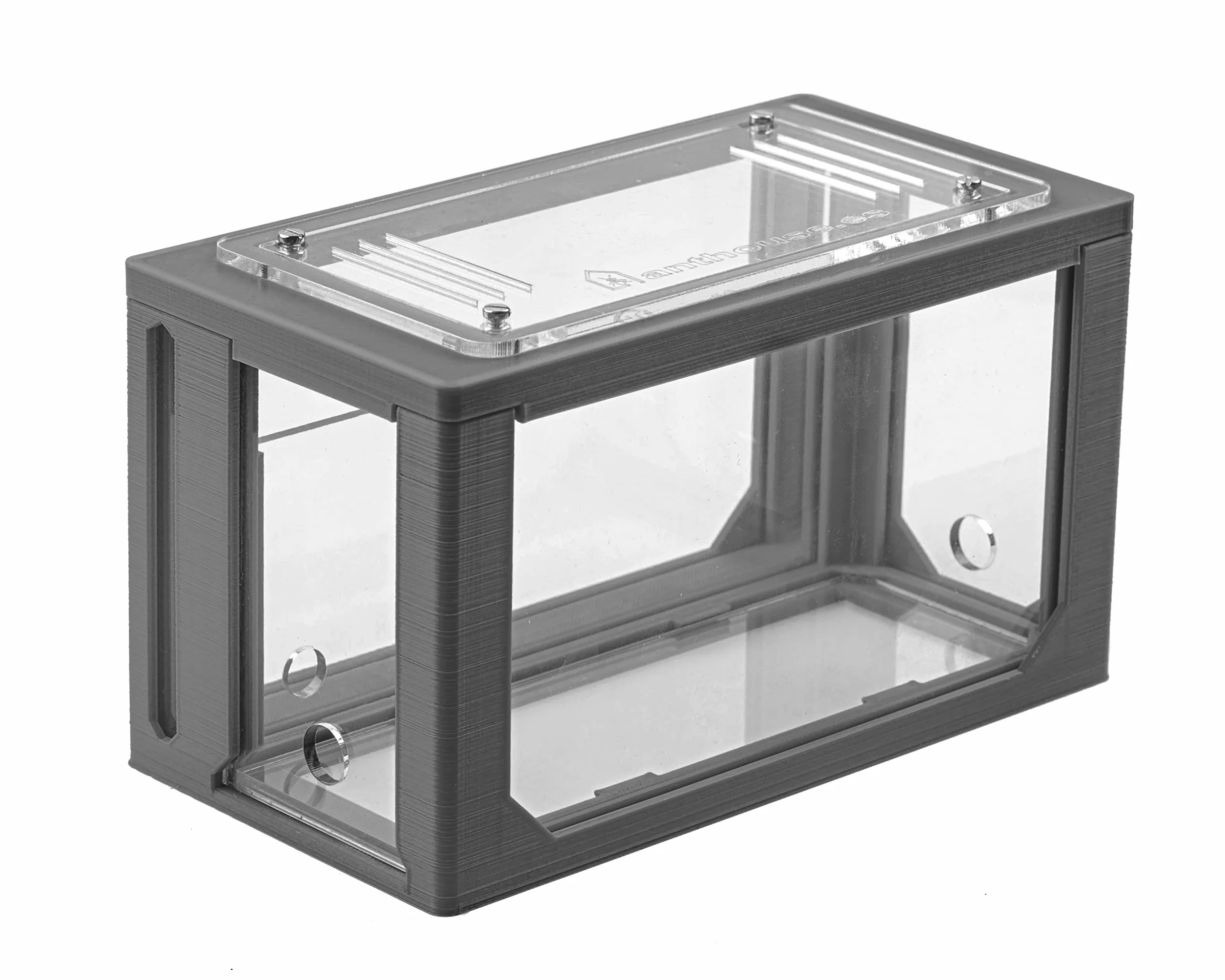 AntHouse - Natürliche Ameisenfarm aus Sand | 3D Starter Kit Grau 20x10x10 cm | Inklusive Ameisen