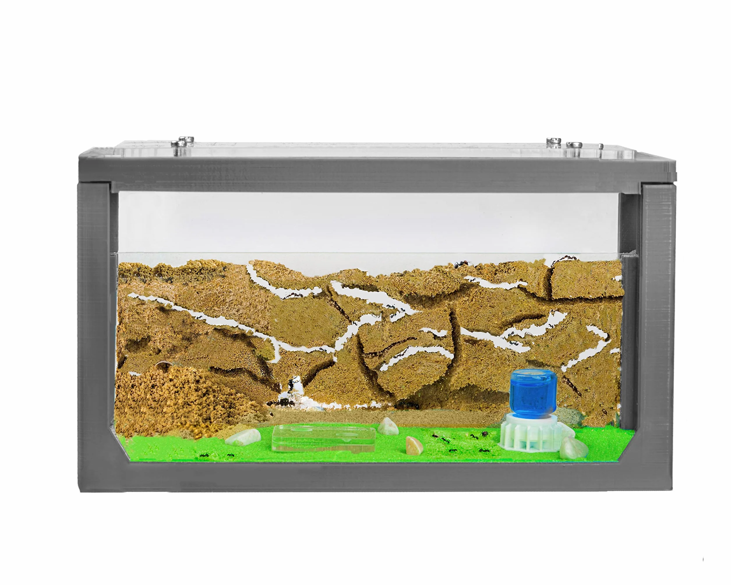 AntHouse - Natürliche Ameisenfarm aus Sand | 3D Starter Kit Grau 20x10x10 cm | Inklusive Ameisen
